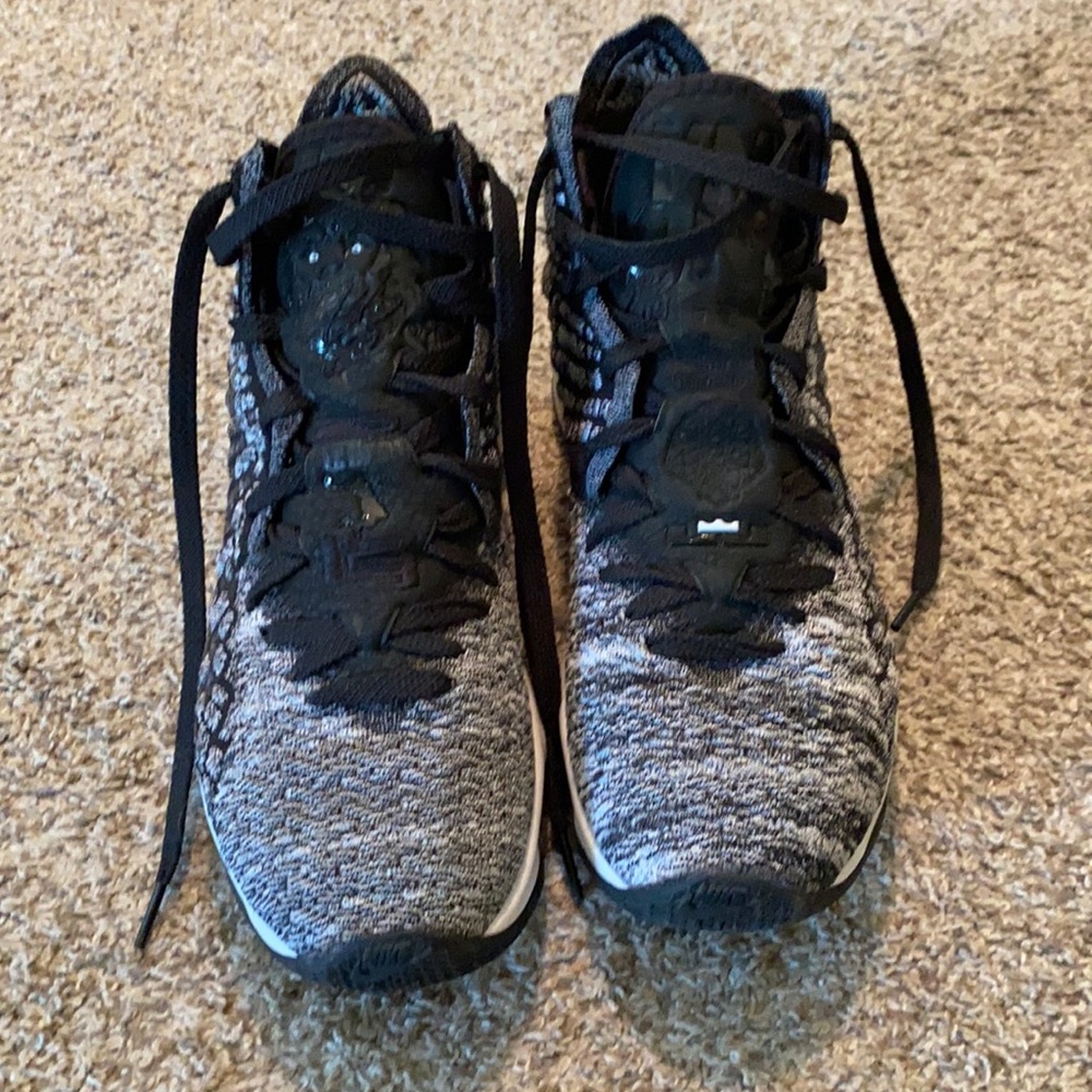 LeBron 17 “In the Arena”